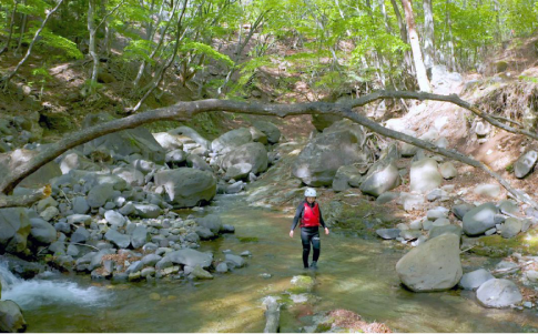 渓谷のスリルアドベンチャー！「栃木県・鬼怒川」でキャニオニングを大満喫(日光市)