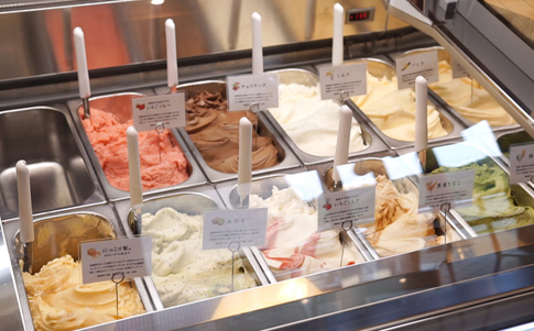 栃木県の恵みをギュっと凝縮！フレッシュな味わい弾けるジェラート