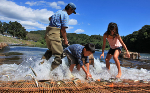 大瀬観光やな(茂木町)