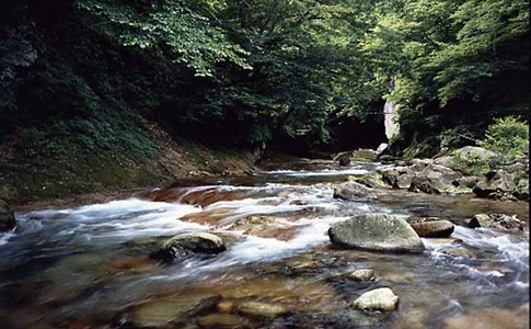 木の俣渓谷と木の俣園他