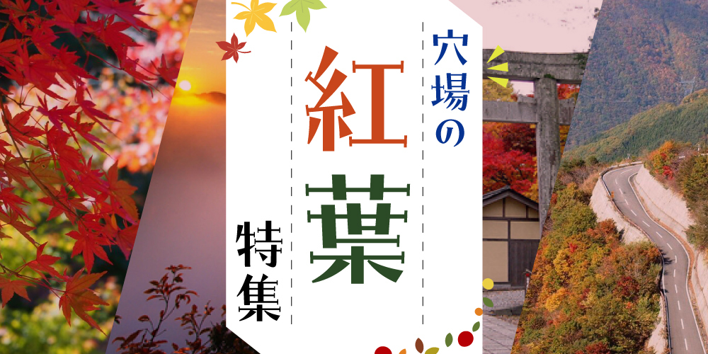 穴場の紅葉特集
