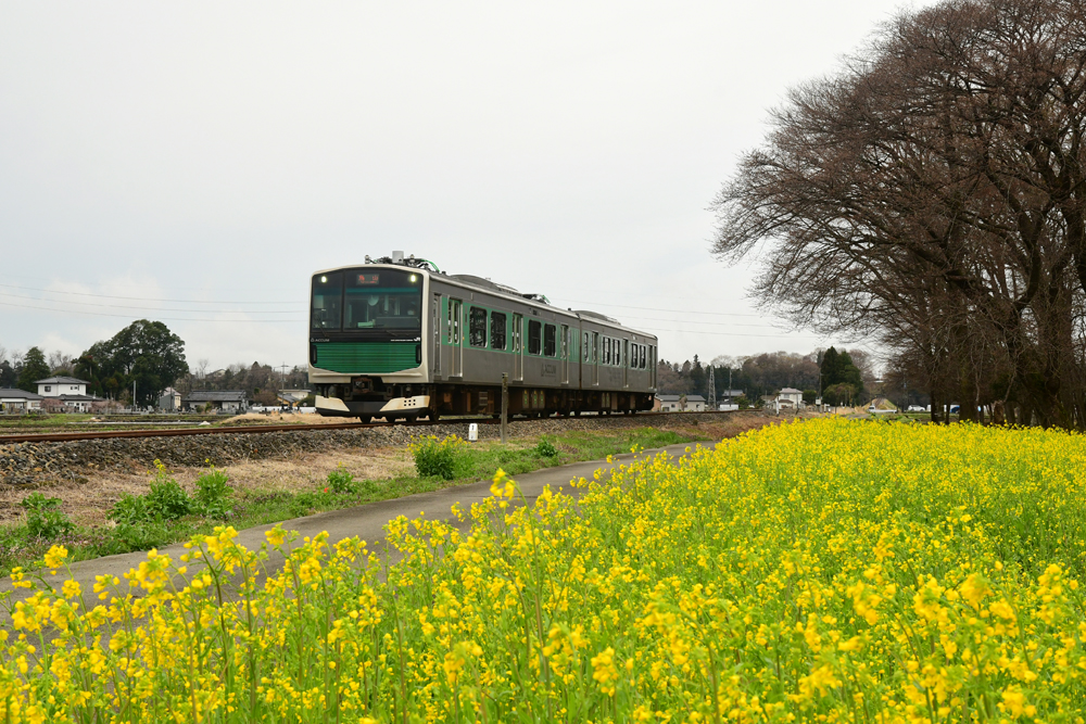 アキュム導入10周年記念イベント