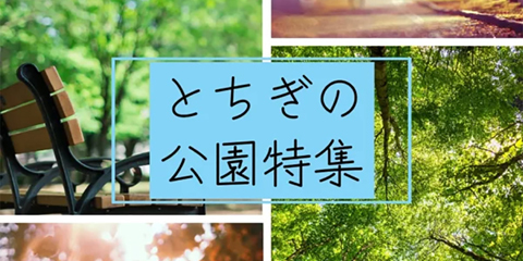 とちぎの公園特集